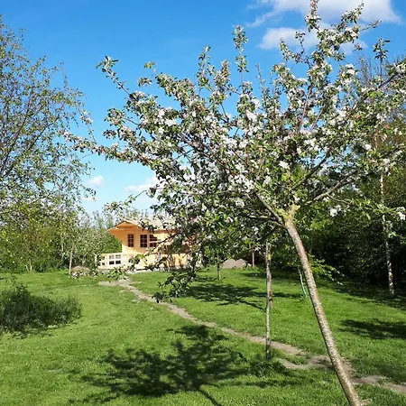 Apartment Sonnige In Laendlicher Umgebung Strubbel